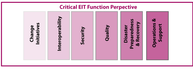 Critical-EIT-Functions.jpg